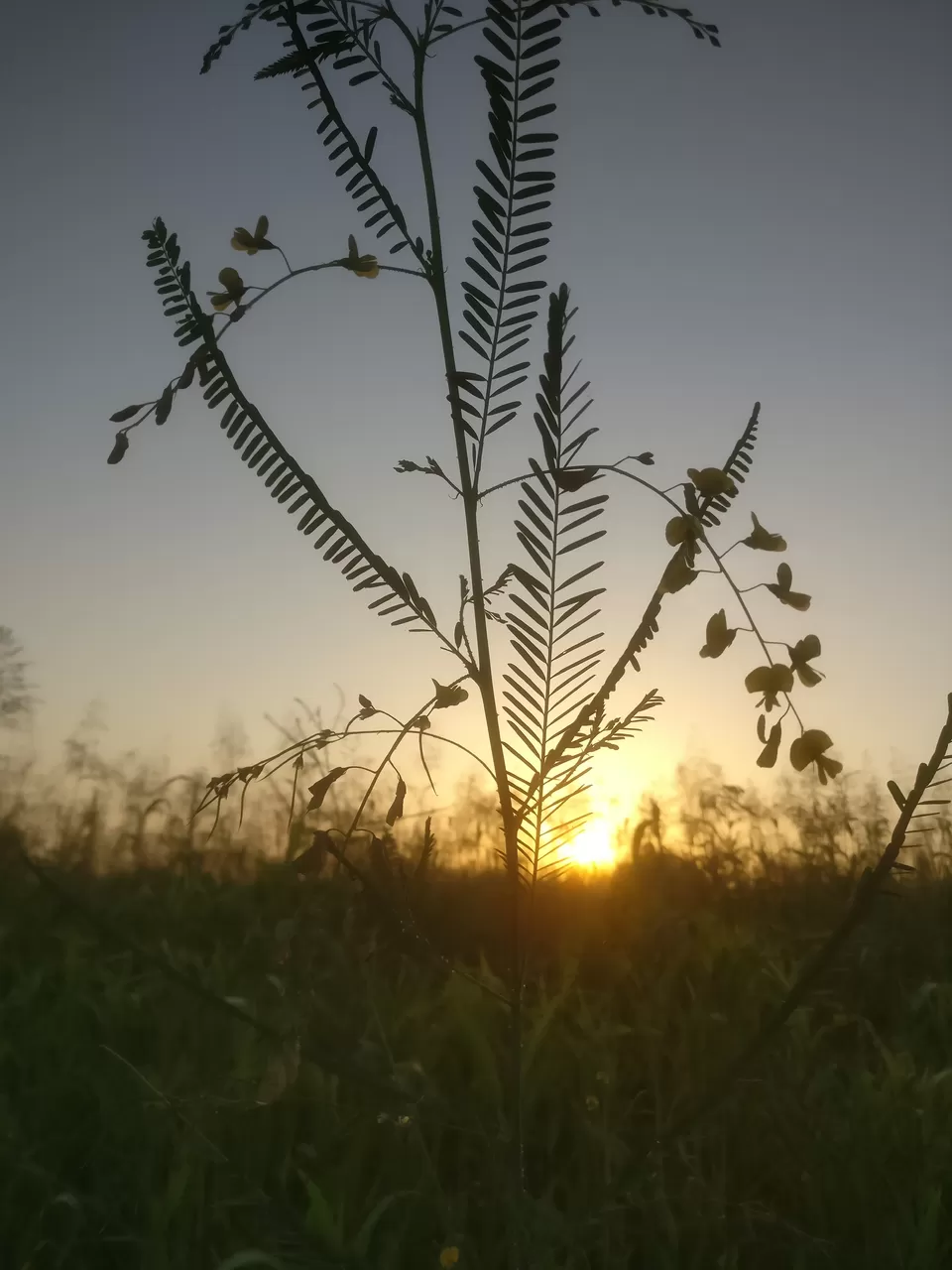 Photo of Gujarat, India by Avijit Pradhan