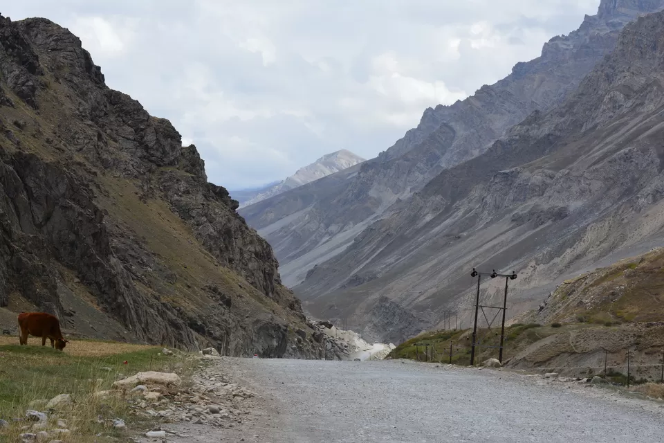 Photo of Dras by Avijit Pradhan