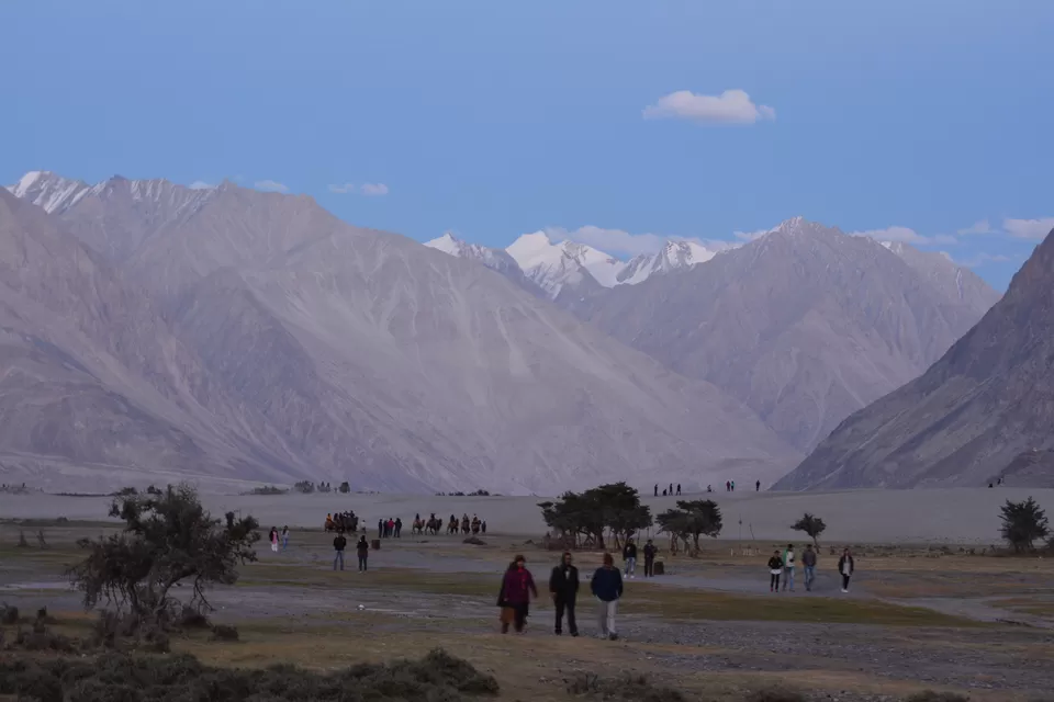 Photo of Hunder Sand Dunes by Avijit Pradhan
