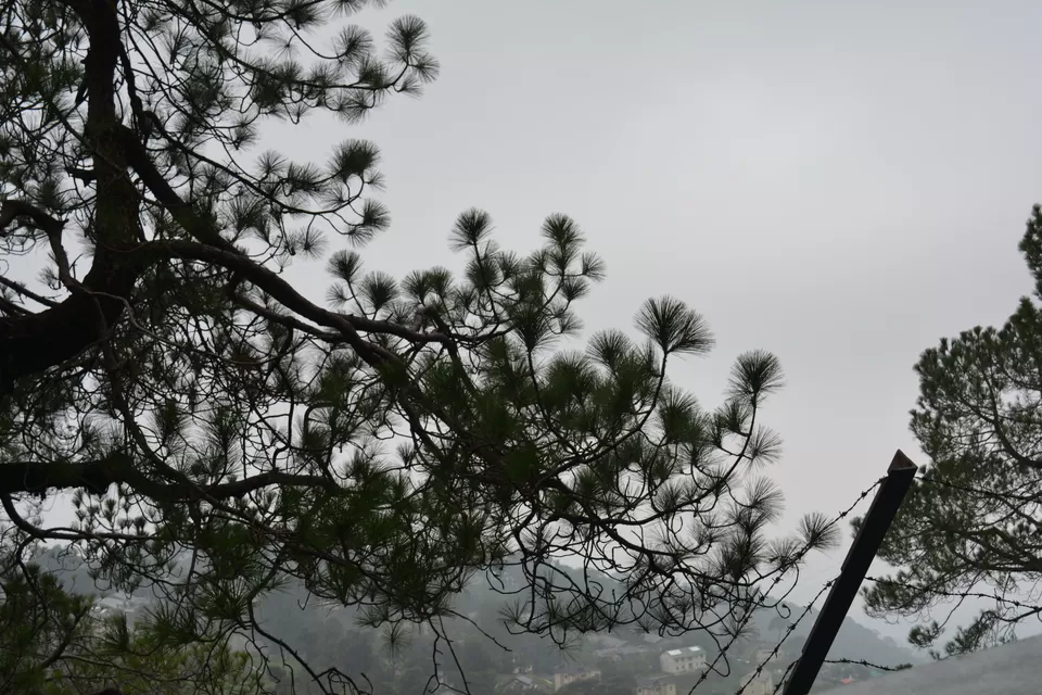 Photo of McLeod Ganj, Dharamshala, Himachal Pradesh, India by Kashish Grover