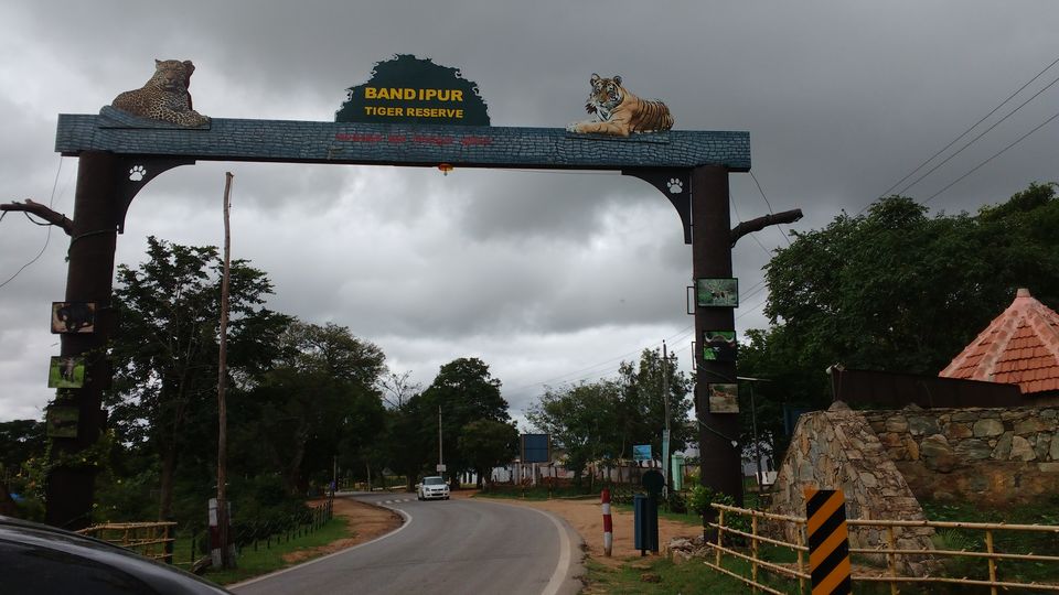 Photo of Bandipur National Park, Bandipur, Karnataka, India by Spabiz2011