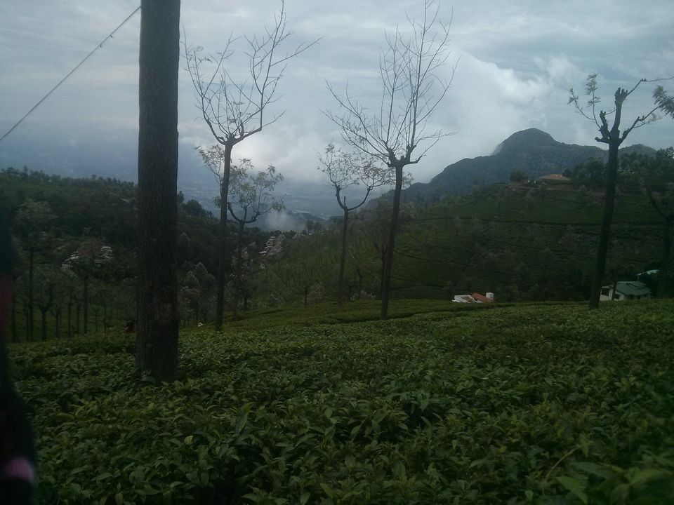 Photo of Romancing the rains and roads in South India by Spabiz2011