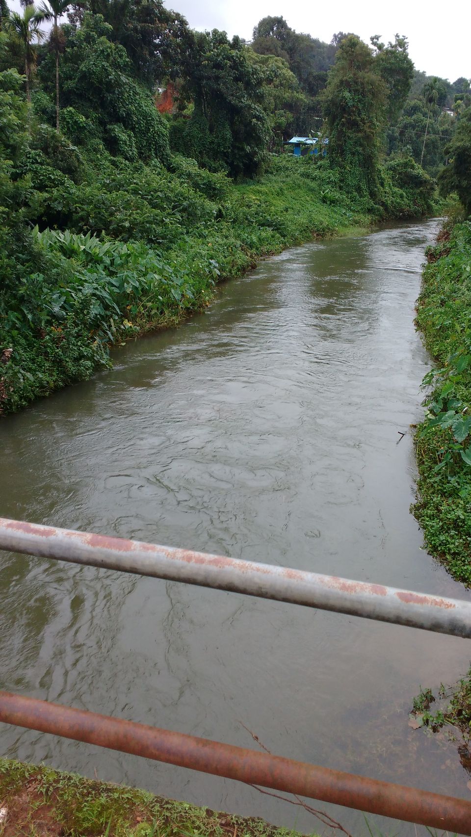 Photo of Romancing the rains and roads in South India by Spabiz2011