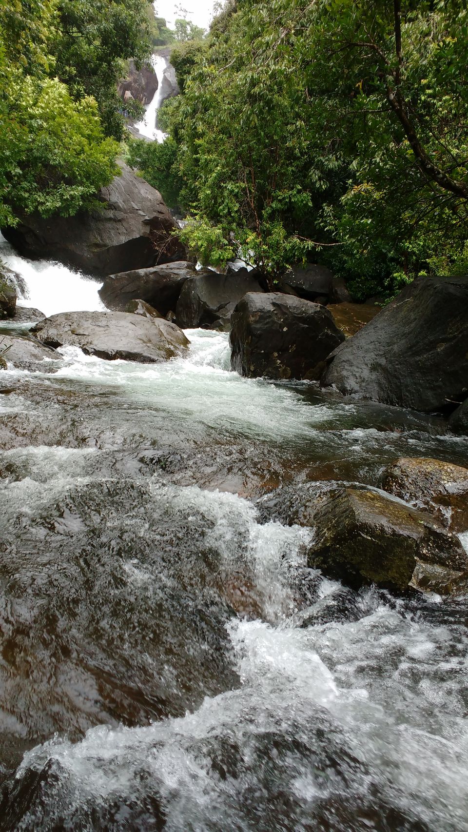Photo of Meenmutty Falls, Wayanad, Kerala, India by Spabiz2011