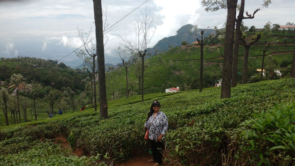 Photo of Romancing the rains and roads in South India by Spabiz2011