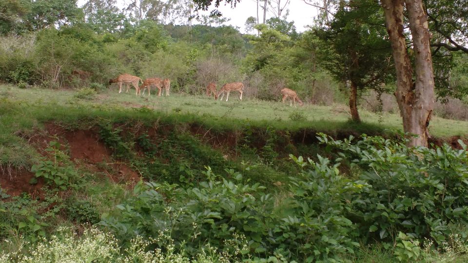 Photo of Romancing the rains and roads in South India by Spabiz2011