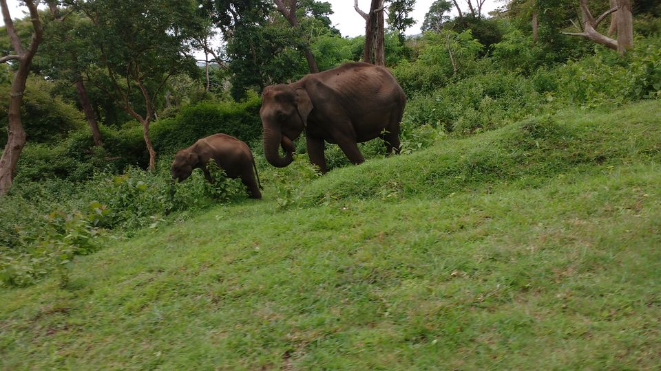 Photo of Romancing the rains and roads in South India by Spabiz2011