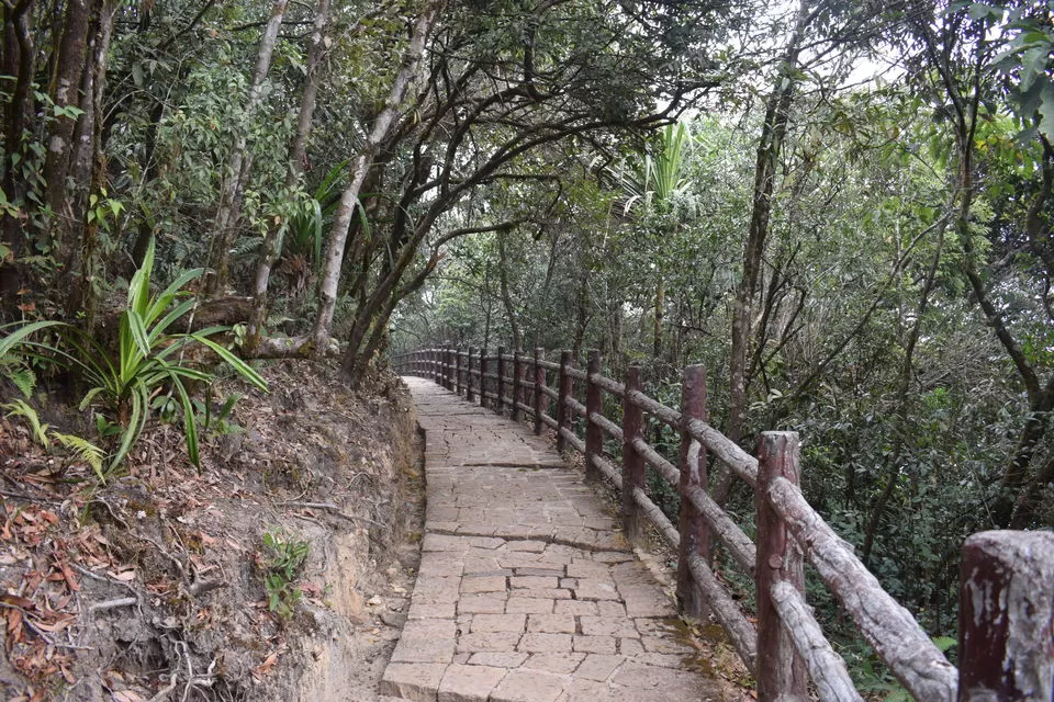 Photo of The Meghalaya Road Trip - Shillong, Jowai, Dawki, Cherrapunjee by Praneet Kumar