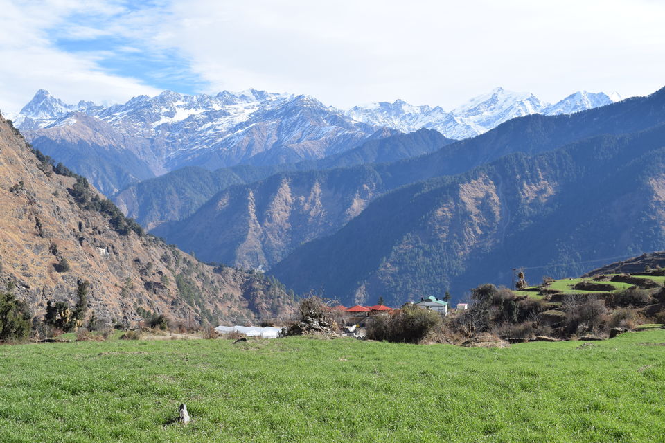 Photo of Of Mountains and Meadows - The Dayara Bugyal Trek - A Photo Journey 15/46 by Praneet Kumar