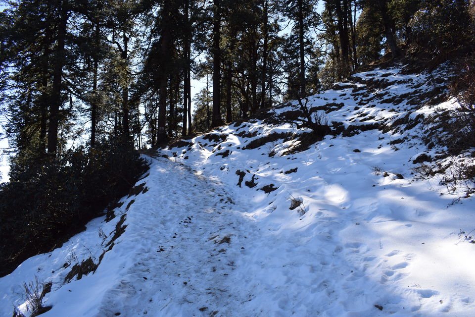 Photo of Of Mountains and Meadows - The Dayara Bugyal Trek - A Photo Journey 32/46 by Praneet Kumar