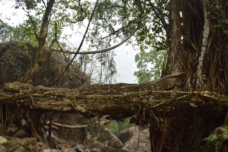 Photo of The Meghalaya Road Trip - Shillong, Jowai, Dawki, Cherrapunjee by Praneet Kumar