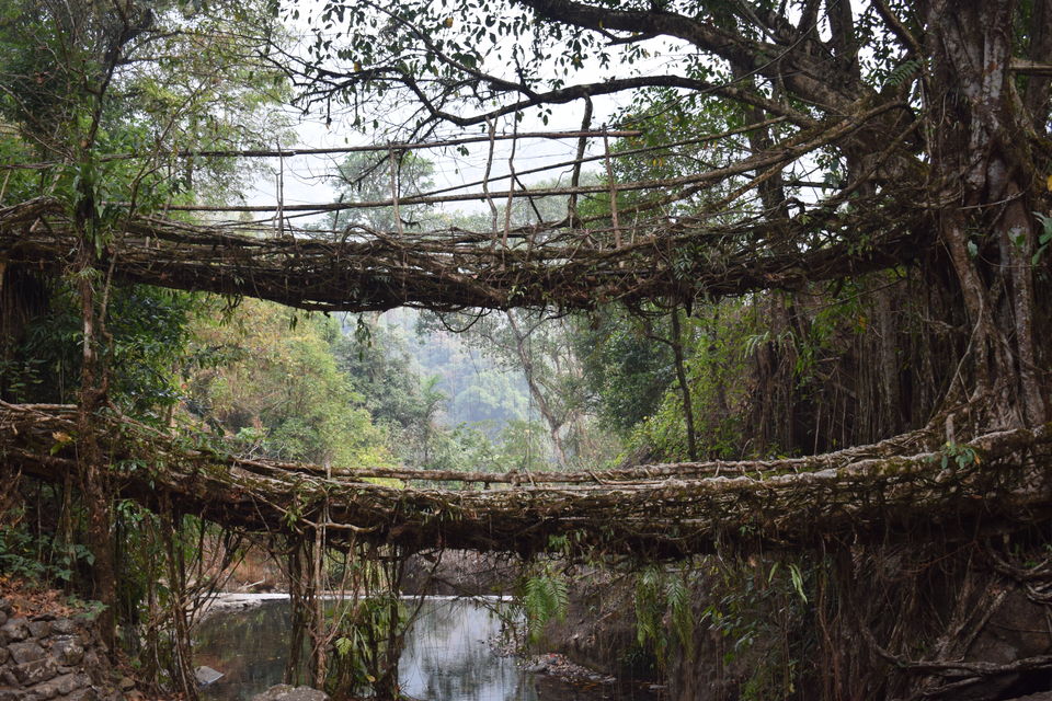 Photo of The Meghalaya Road Trip - Shillong, Jowai, Dawki, Cherrapunjee by Praneet Kumar
