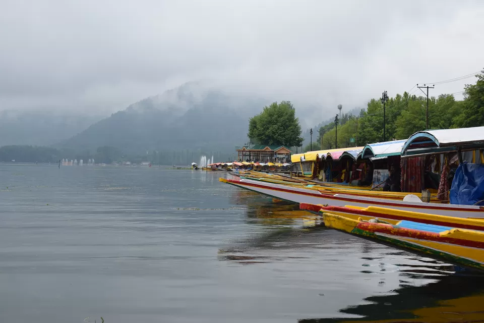 Photo of Dal Lake, Srinagar by Praneet Kumar