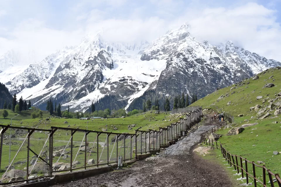 Photo of Thajiwas glacier, Sonmarg, Kashmir, Forest Block by Praneet Kumar