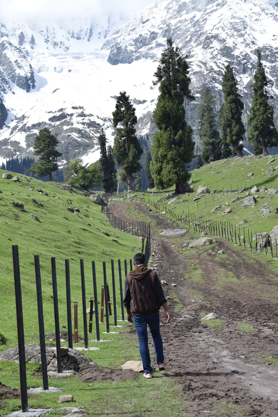 Photo of Thajiwas glacier, Sonmarg, Kashmir, Forest Block by Praneet Kumar