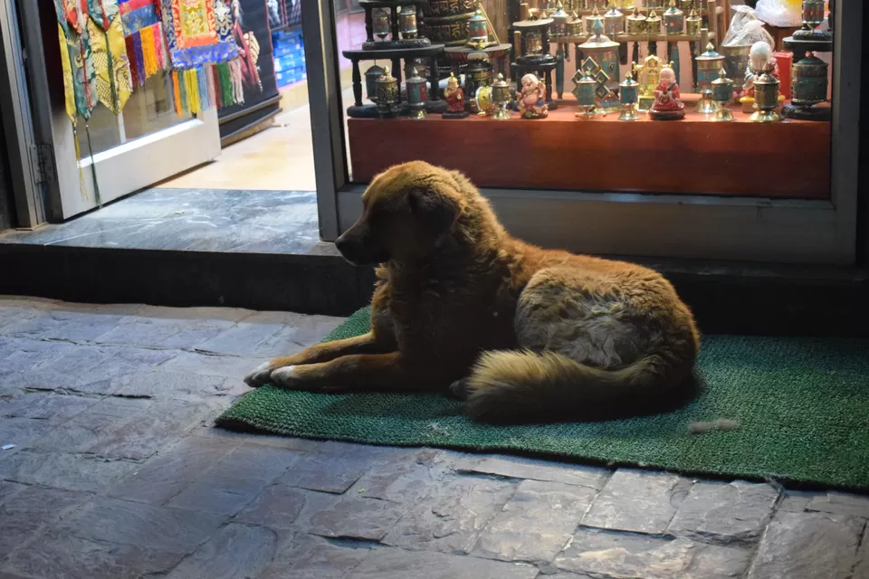 Photo of Leh Market, Main Bazaar Road, Leh by Praneet Kumar