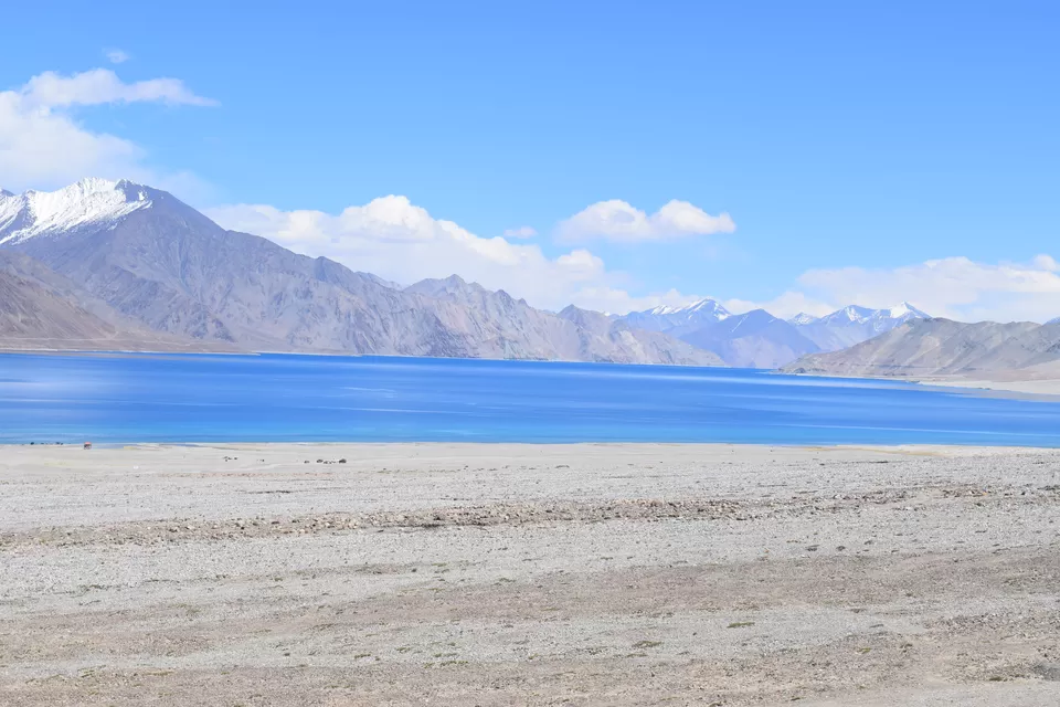 Photo of Pangong Lake by Praneet Kumar