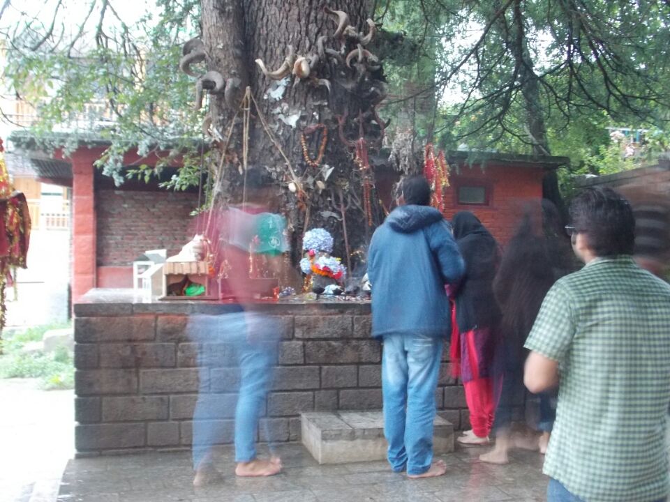 Photo of That's How I got LEH'D 19/24 by Vivek Gupta