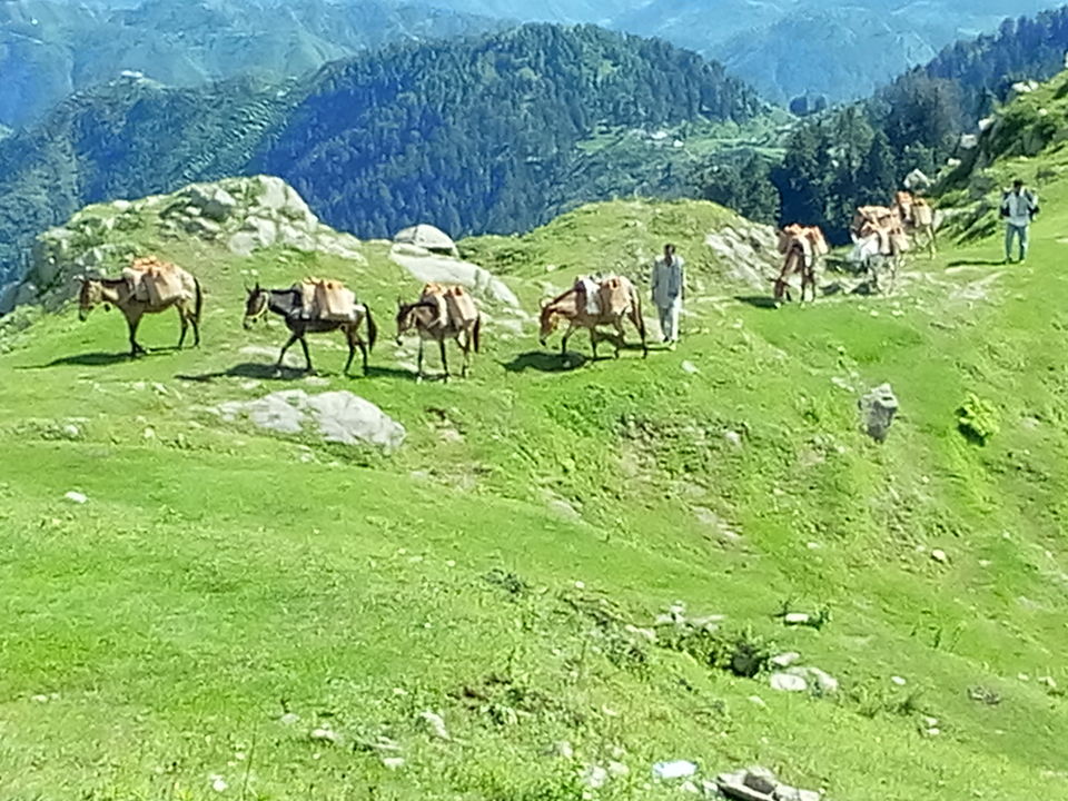 Photo of Earth Is Not a Cold Dead Place : Himachal Pradesh 17/20 by Vivek Gupta