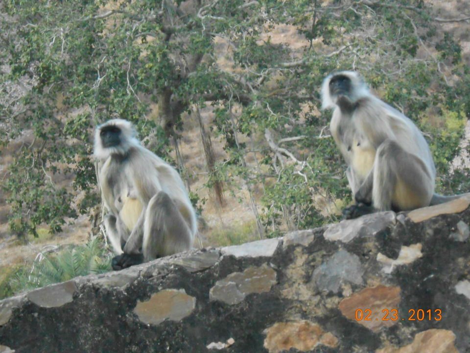 Photo of Grad City : Jaipur 65/72 by Vivek Gupta