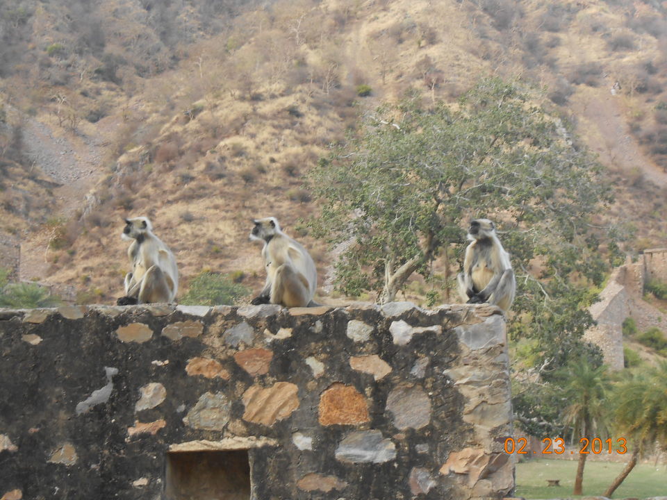 Photo of Grad City : Jaipur 66/72 by Vivek Gupta