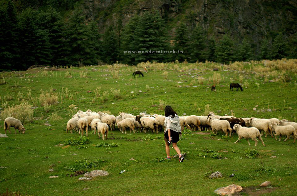 Photo of Trek to Hot Water Spring in KheerGanga - Parvati Valley 2/9 by sakshi