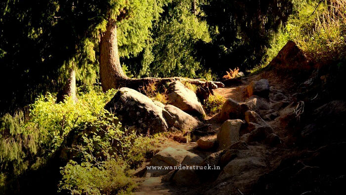 Photo of Trek to Hot Water Spring in KheerGanga - Parvati Valley 3/9 by sakshi