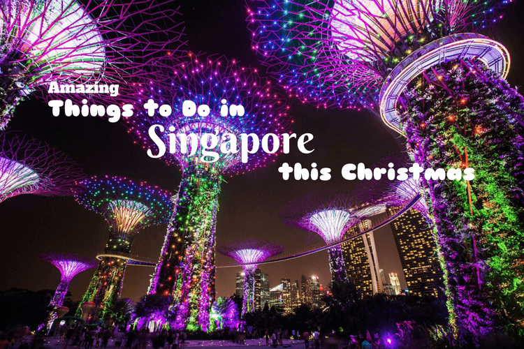 Photo of Amazing Things to Do in Singapore this Christmas 1/8 by Priya
