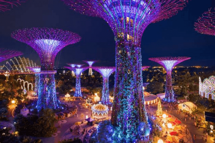 Photo of Amazing Things to Do in Singapore this Christmas 2/8 by Priya