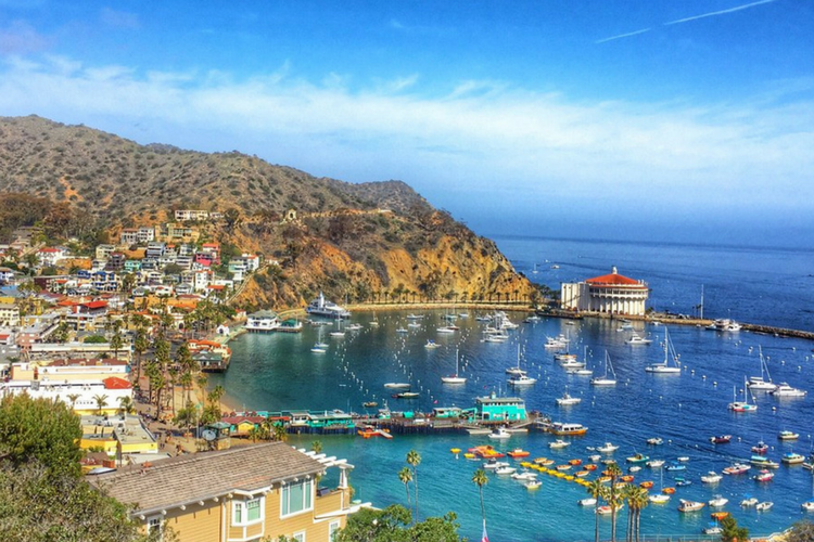 Photo of America in Autumn - Best Vacation Spots in the US for a November Holiday 2/6 by Priya