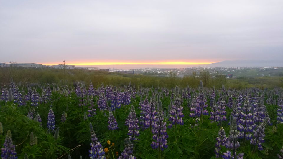 Photo of A Guide To Visiting Iceland For The Young, Budget Backpacker 3/3 by Lucy Plummer