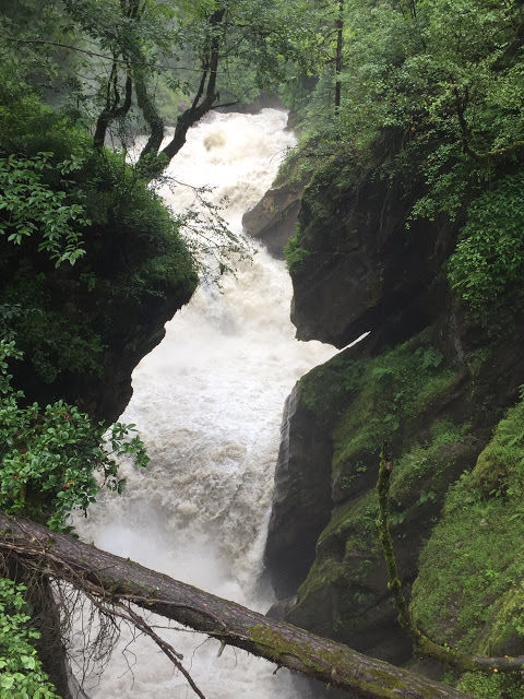 Photo of Barshaini Parvati River Dam, Sosan, Himachal Pradesh, India by Amrita Singh