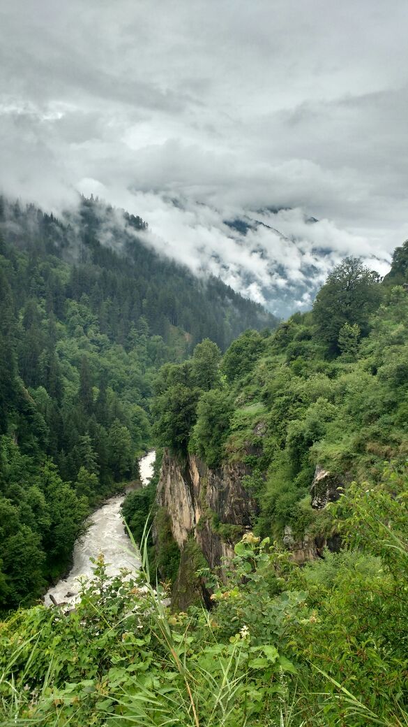 Photo of Tranquil Kheerganga by Amrita Singh