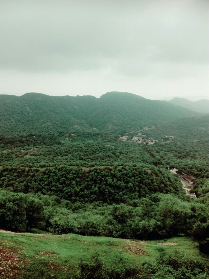 Photo of Amazing day at Amer fort by Falguni sharma