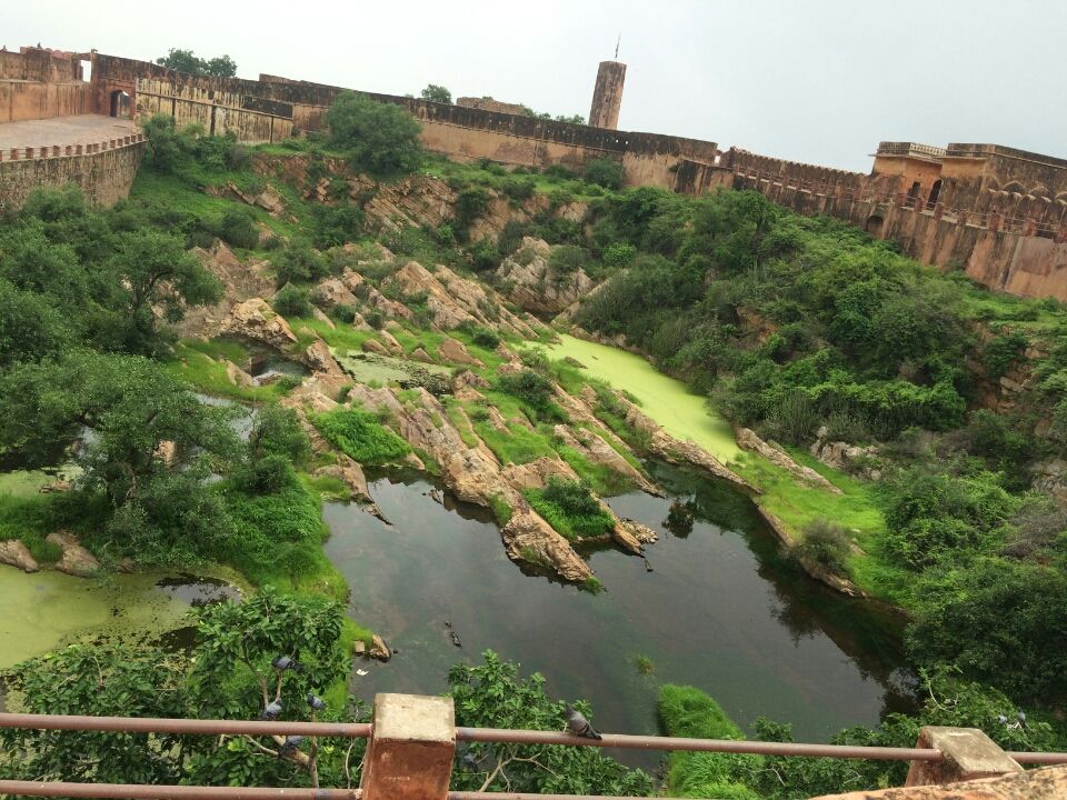 Photo of Amazing day at Amer fort by Falguni sharma