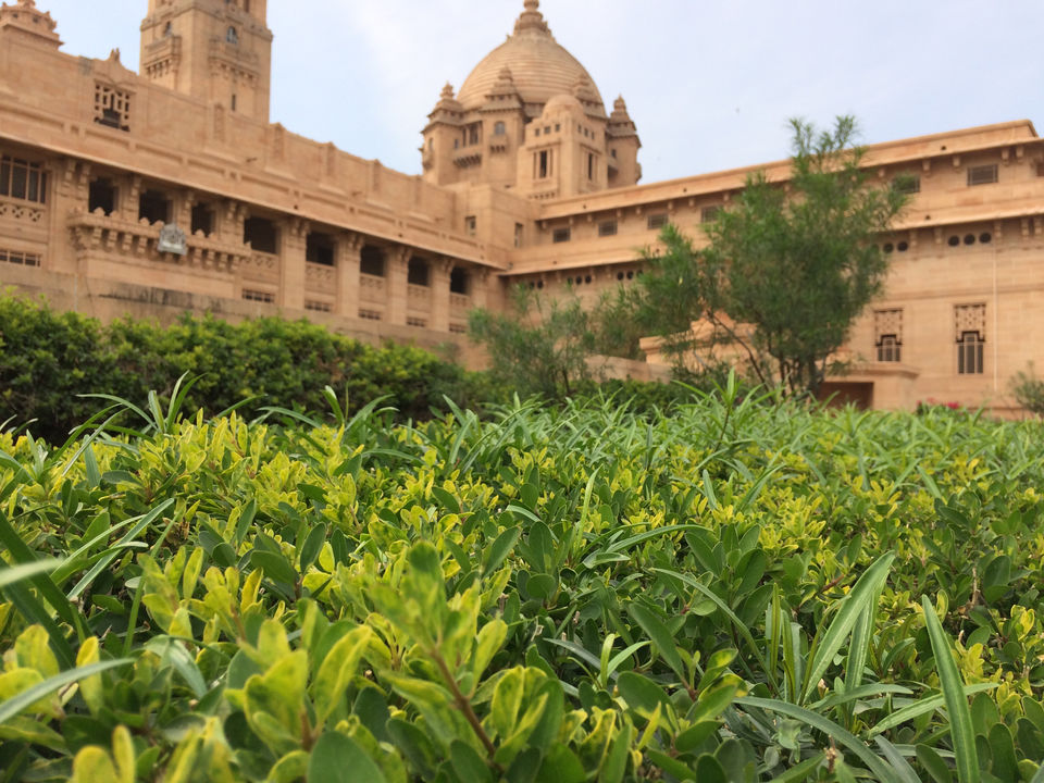 Photo of Tremendous Workmanship in Chittar Palace by Falguni sharma