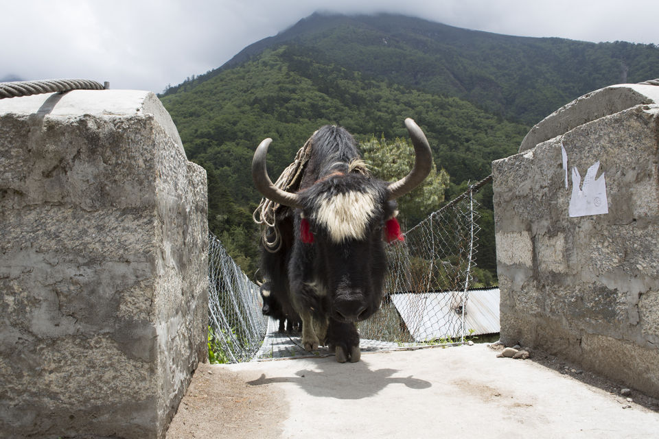 Photo of Everest Base Camp Challenge for a Cause ! 13/13 by Mission Outdoors