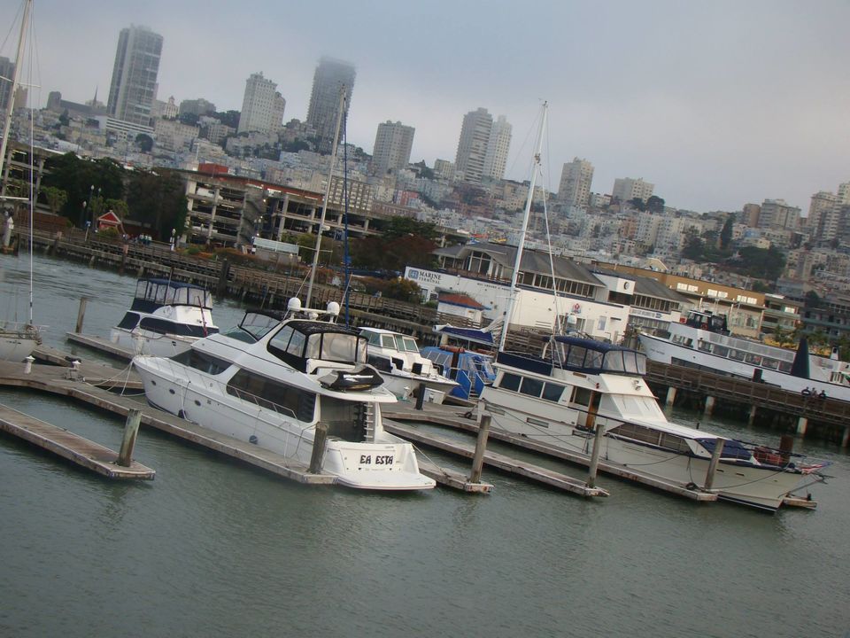 Photo of A whirlwind tour of San Francisco by Bhaswati Aditya