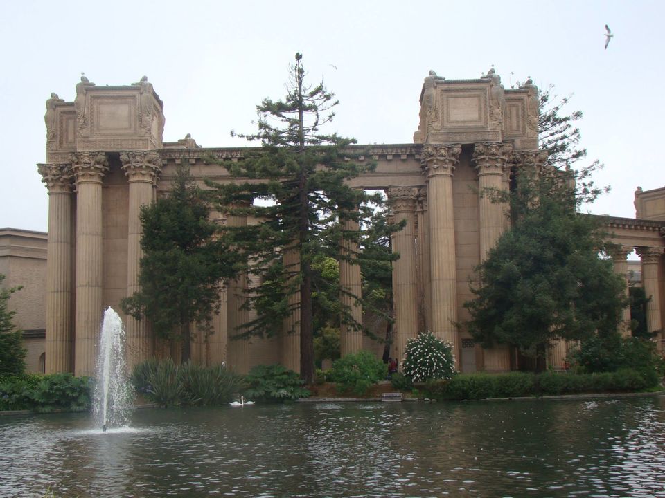 Photo of A whirlwind tour of San Francisco by Bhaswati Aditya