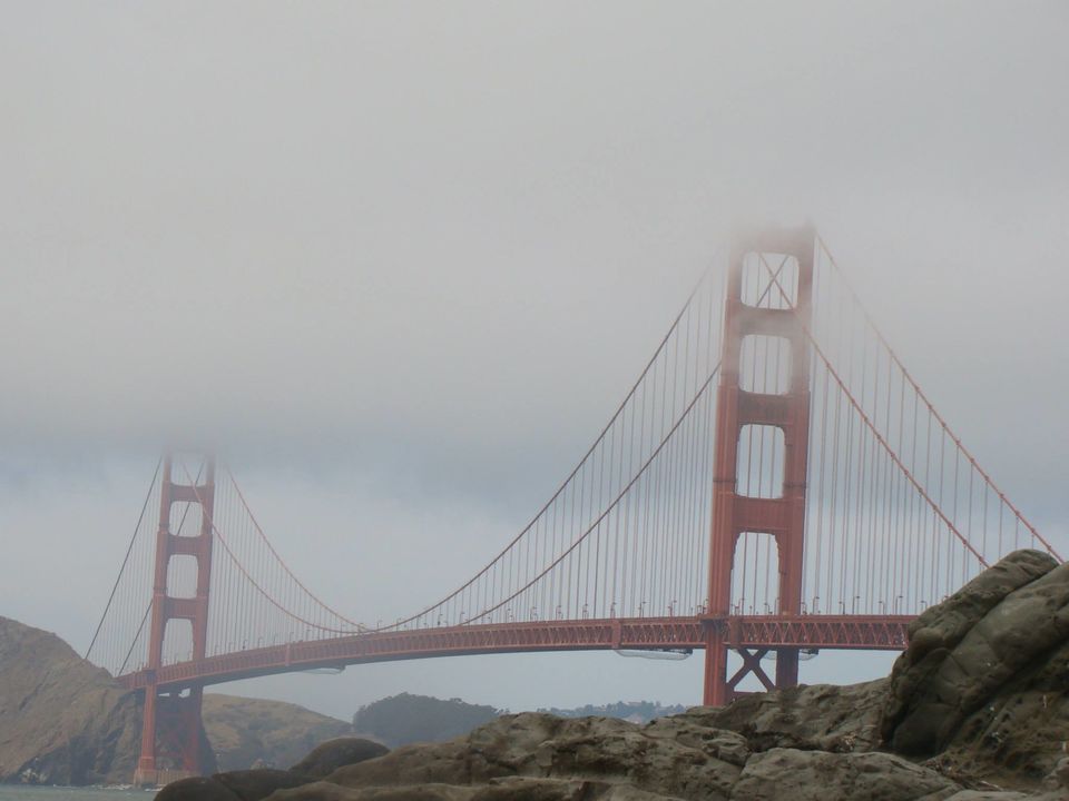 Photo of A whirlwind tour of San Francisco by Bhaswati Aditya
