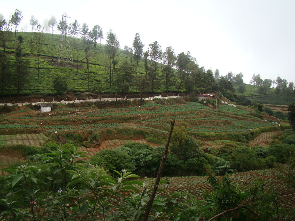 Photo of Not just honeymooner’s paradise – Ooty, an enjoyable destination for all 3/7 by Bhaswati Aditya