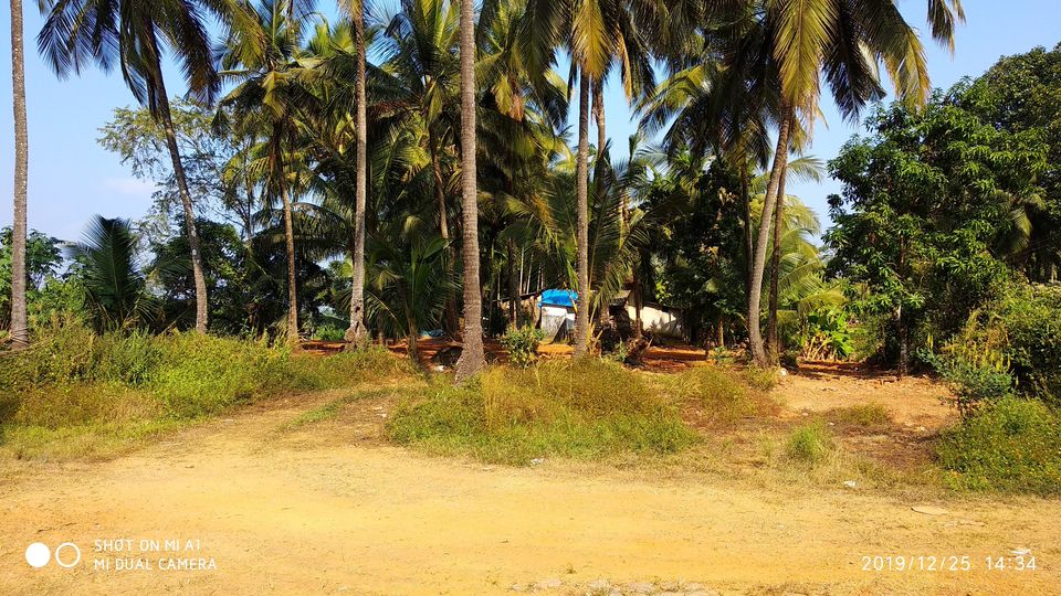 Photo of Basroor, Karnataka, India by Ajit Katte