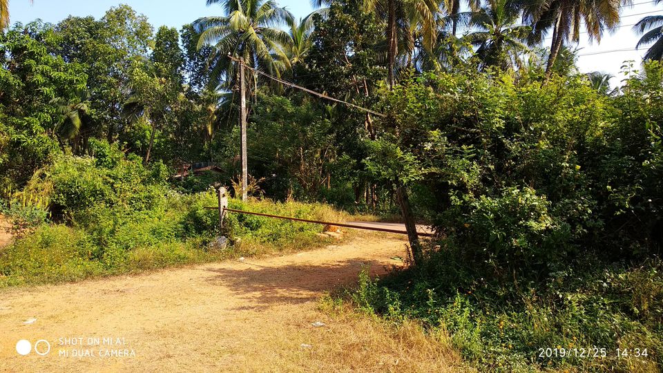 Photo of Basroor, Karnataka, India by Ajit Katte