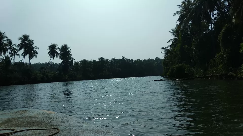 Photo of Soans Island, Basroor, Karnataka, India by Ajit Katte