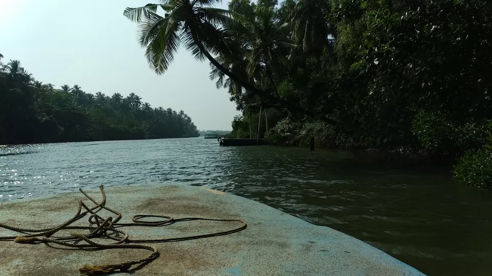 Photo of Soans Island, Basroor, Karnataka, India by Ajit Katte
