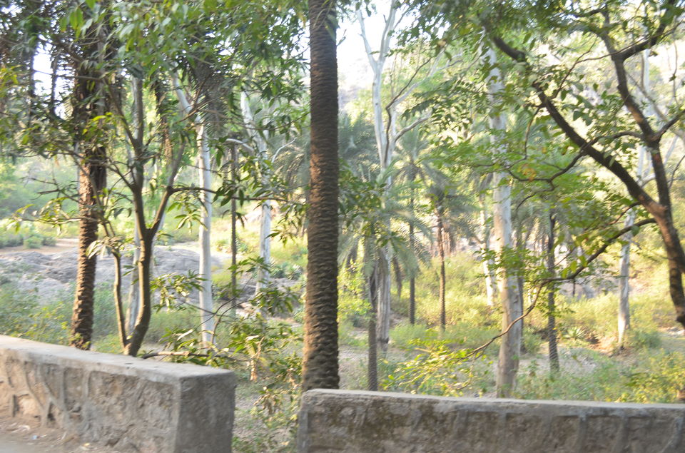 Photo of Jump to Mount Abu !!! 4/25 by Sayantani Maiti