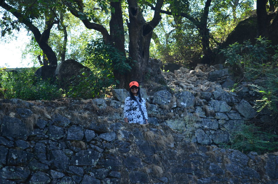 Photo of Jump to Mount Abu !!! 18/25 by Sayantani Maiti