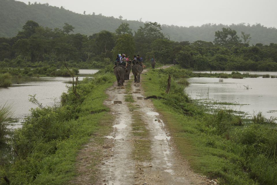 Photo of Guwahati, Assam, India by Sayantani Maiti