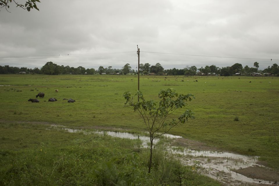Photo of Guwahati, Assam, India by Sayantani Maiti