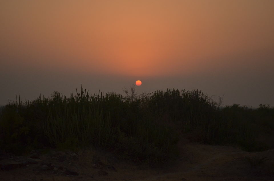 Photo of Life happens when you are busy planning it ... by Sayantani Maiti